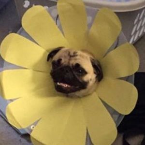 🌸Welcome To My Closet! 😄🌸